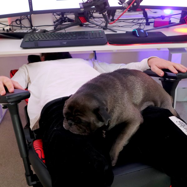 Pewdiepie Edition - Throttle Series Gaming Chair Clutch Chairz